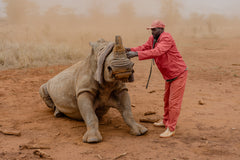 Rhino Revolution Charity Bracelet