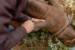 Rhino Revolution Charity Bracelet