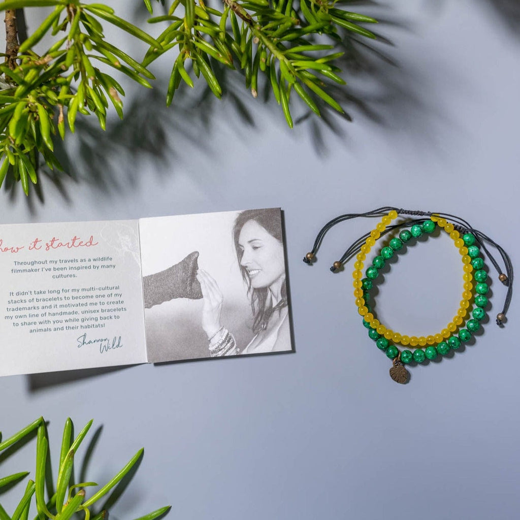 Raising R1 million for Rotary in the Environment A new Relate Bracelets  initiative